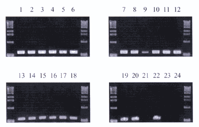 Figure2