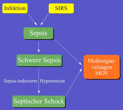 Abbildung 2