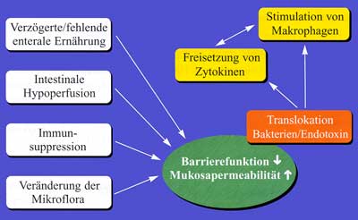 Abbildung 5